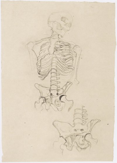 Twee skeletstudies, de bovenste met hoofd naar rechts door Gustav Klimt